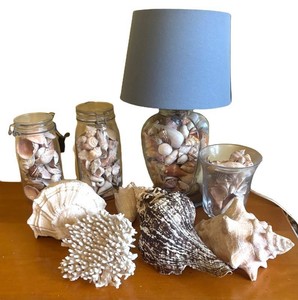 BR2 - Seashell Filled Table Lamp with Seashells and Coral