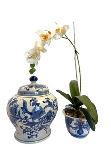 LR - Lidded Porcelain Ginger Jar & Matching Orchid Planter