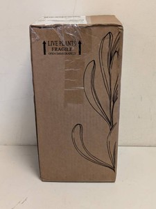 THE KNOCK OUT FAMILY OF ROSES LIVE SHRUB GROWER POT