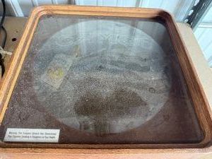 Vintage Framed Camel Display