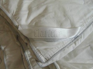 Claritin Bedding Insert Queen  57x80