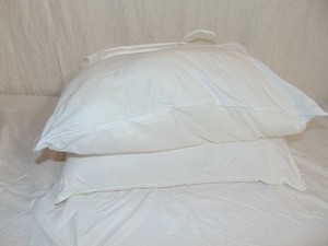 Eddie Bauer Home Pillows 2 Pack