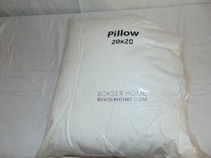 Pottery Barn 20 x 20 Pillow Insert
