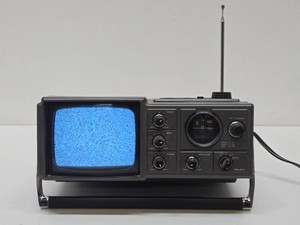 Working Vintage MAGNAVOX Portable TV Model E60846