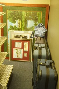 Luggage, Artwork, Purse