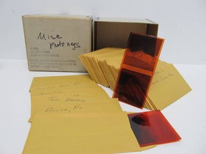 LARGE Lot of Old Vintage Railroad Photograph Negatives