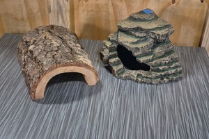 terrarium decor