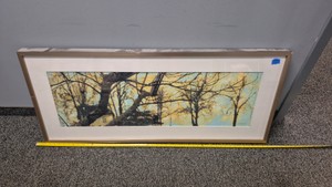 Sara abbott artwork