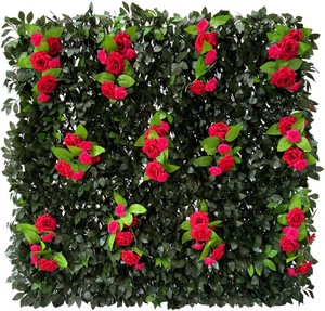 Sumery Expandable Fence Privacy Screen, Ivy