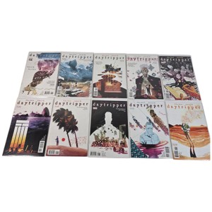 Lot of 10 Vertigo Daytripper #1-10 Complete Series Fbio Moon Gabriel B