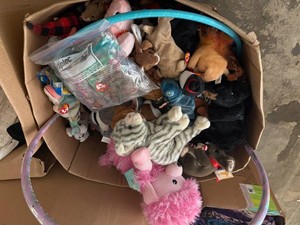 Large Box of Beanie Babies & Stuffed Animals.-See Photos for Box Size