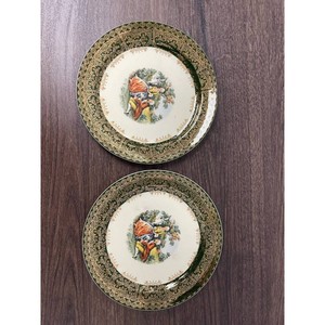 Taylor Smith Taylor Green Porcelain Decorative Plate 10.5 in