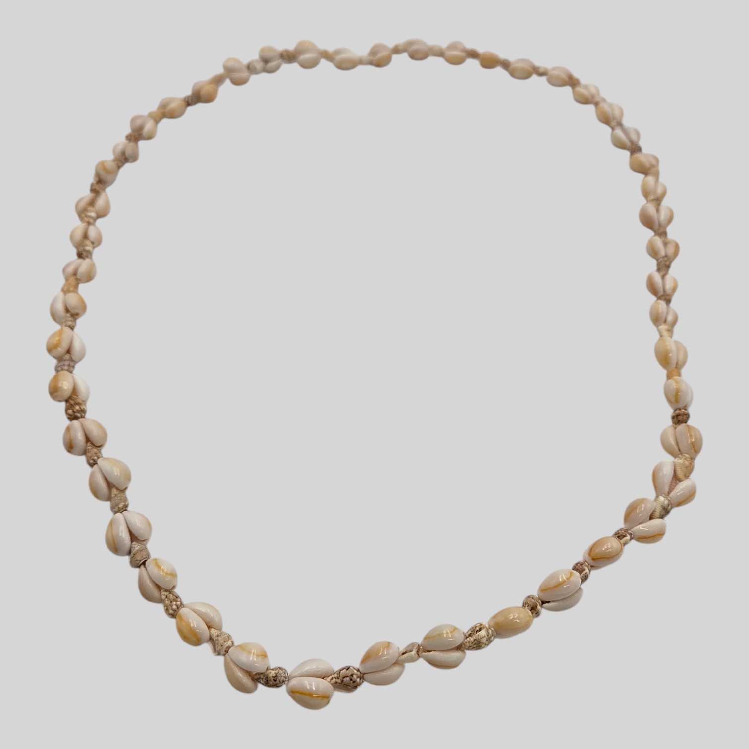 Long Cowrie Shell Necklace with Knotted Natural Shell Accents