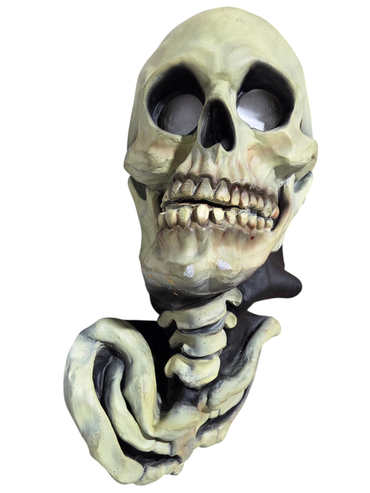 Skeleton Skull Bust Halloween Wall Decoration  Mask with Foam Backing