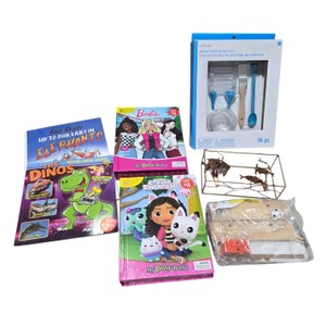Mixed Kids Activity Lot  Barbie, Gabbys Dollhouse, Dinosaur & Elephant Books, Craft Kit & Soccer Game
