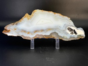Stunning Large Polished Agate Slice  Translucent White &amp Cream Fortification Banding with Rare Dendrites. (1 lb 6.8 oz  649 g)