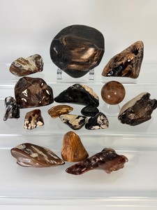 Polished Petrified Wood Cabinet Display S Large Oval Natural Fossilized Quartz Healing Crystal Specimen Rare. (1 lb 15.6 oz &nbsp898 g)
