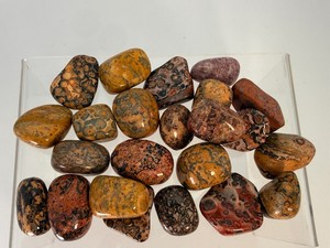 Polished Leopardskin Jasper Tumblestones  Natural Bulk Rhyolite Gemstones for Jewelry &amp Crystal Healing. (10.6 oz  302 g)
