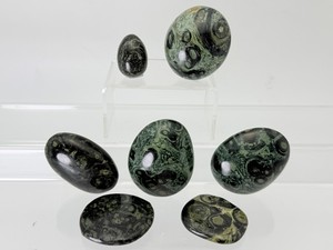 Natural Kambaba Jasper Palm Stone Set  7 Piece Polished Cabinet Specimens. (1 lb  454 g)