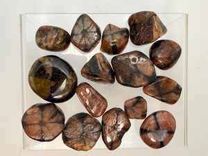 Lot of Natural Chiastolite Tumbled Stones  Rare Cross Stone Andalusite Crystals. (8.8 oz  252 g)