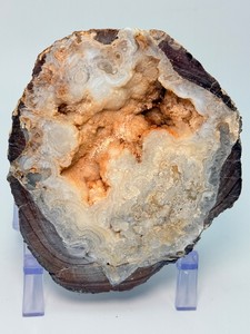Rare Polished Agatized Petrified Wood Round Nodule with Sparkling Peach Druzy Quartz Crystal Geode Core Cave Collector Fossil Specimen (2lbs 3.6 oz  1kg 10 g)