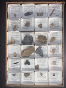 Vintage Educational Fossil Collection Box Set - 24 Premium Quality Authentic Prehistoric Paleontology Specimens for STEM Learning