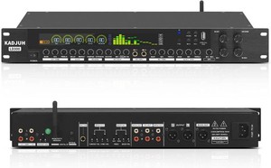 $130 LD300 Professional KTV Digital Pre-stage Effector Anti-howling Audio Processor Echo USB MP3 Bluetooth Optical, 3 Mic Inpout For Household Reverberator Karaoke,Stage,Church, Performance