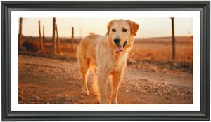 LTYHHK 12x22 Panoramic Picture Frames Solid Wood, Displays Picture10x20 with Mat or 12x22 Inch without Mat, Poster Frame 12x22 Photo Frames Family Wall 10x20 Picture Frame Black (LMKB1222)