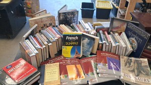 HUGE LOT OF BOOKS