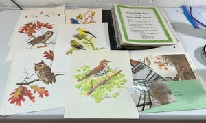 Bird Color Plates Ephemeral Paper Wildlife Program items