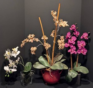 SR - Artificial Orchid Arrangements - White, Purple & Spotted (Lot of 3)