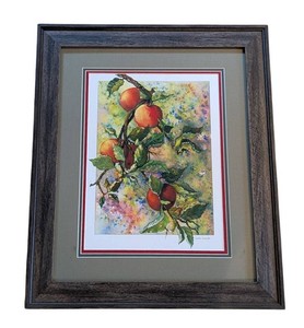 SR - Framed Watercolor - Judith Kusisto Signed Apple Still Life