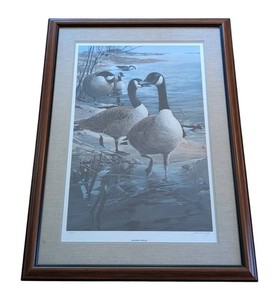 SR - Wildlife Print - Vintage Shoreline Solitude Signed Julio Fernandez 560580