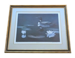 SR - Wildlife Print - Jonathan Wilde Common Loon & Water Lilies Signed 266600