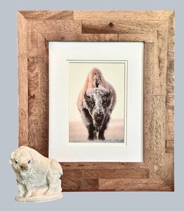 Buffalo Decor Mixed Lot - Framed Buffalo Art & Stone Critters Figurine