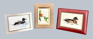 LR - Framed 3-D Bird Art - Loon, Hummingbird & Mallard (Lot of 3)
