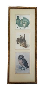 LR - Framed Animal Prints - After Albrecht Durer, Rabbit Squirrel & Owl