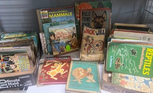 Donald Duck Sees South America and Large Lot of Vintage and Childrens Adolescent Books