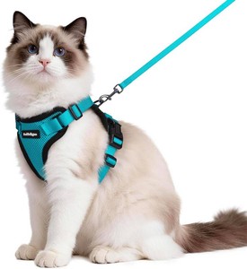 $20 rabbitgoo Cat Harness and Leash Set, Escape Proof Vest, Teal  Soft Breathable Mesh, Easy Adjustable Fit, Snap Buckles, Sturdy Clip, Reflective Strips, for Medium to Large Cats Walks, M