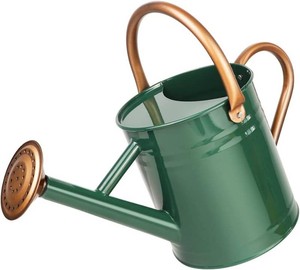 $26 Metal Watering Can with Removable Spout, Galvanized Steel Plants Water Can for Women, Men and Kids Outdoor or Indoor Gardening - Nice Flower Watering Pot Gift & Decoration (Green, 0.6 Gallon)