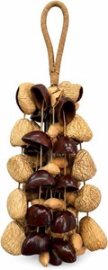$40 Seed Shell Hand Rattle 3 Kinds of 70 Pure Natural Nut Shells Sound Healing Instruments for Sound Bath and Mindfulness Meditation