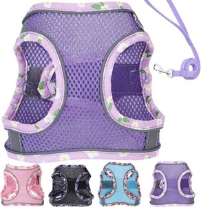 Petank Dog Harness for Small Medium Dogs No Pull, Puppy Harness and Leash Set, Mesh Adjustable Breathable Light Vest for Walking, Running, Training. (Purple, XS)
