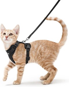 rabbitgoo Cat Harness and Leash Set, Escape Proof Vest, Black  Soft Breathable Mesh, Easy Adjustable Fit, Snap Buckles, Sturdy Clip, Reflective Strips, for Small & Average Cats Walks, Xs
