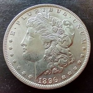 1896 Morgan Dollar