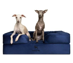 Noah & Paw Machine Washable Orthopedic Sofa Dog Bed, Navy Blue, Large 36 x 26