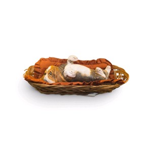 vintage figurine from the Last of the Litter series by Modern Masters featuring a tri-colored Basset Hound puppy