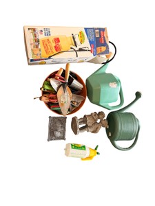 Gardening Tool Lot with Chapin Deck Sprayer, Watering Cans and Hand Tools