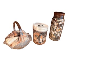 Assorted Seashell Collection with Glass Basket, Display Jar & Coin Bank