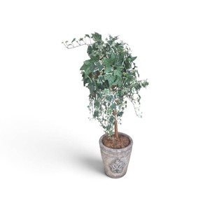 Faux Plant in Planter