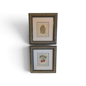 4 Framed Art Pieces that measure 11.75wide  12.25 tall